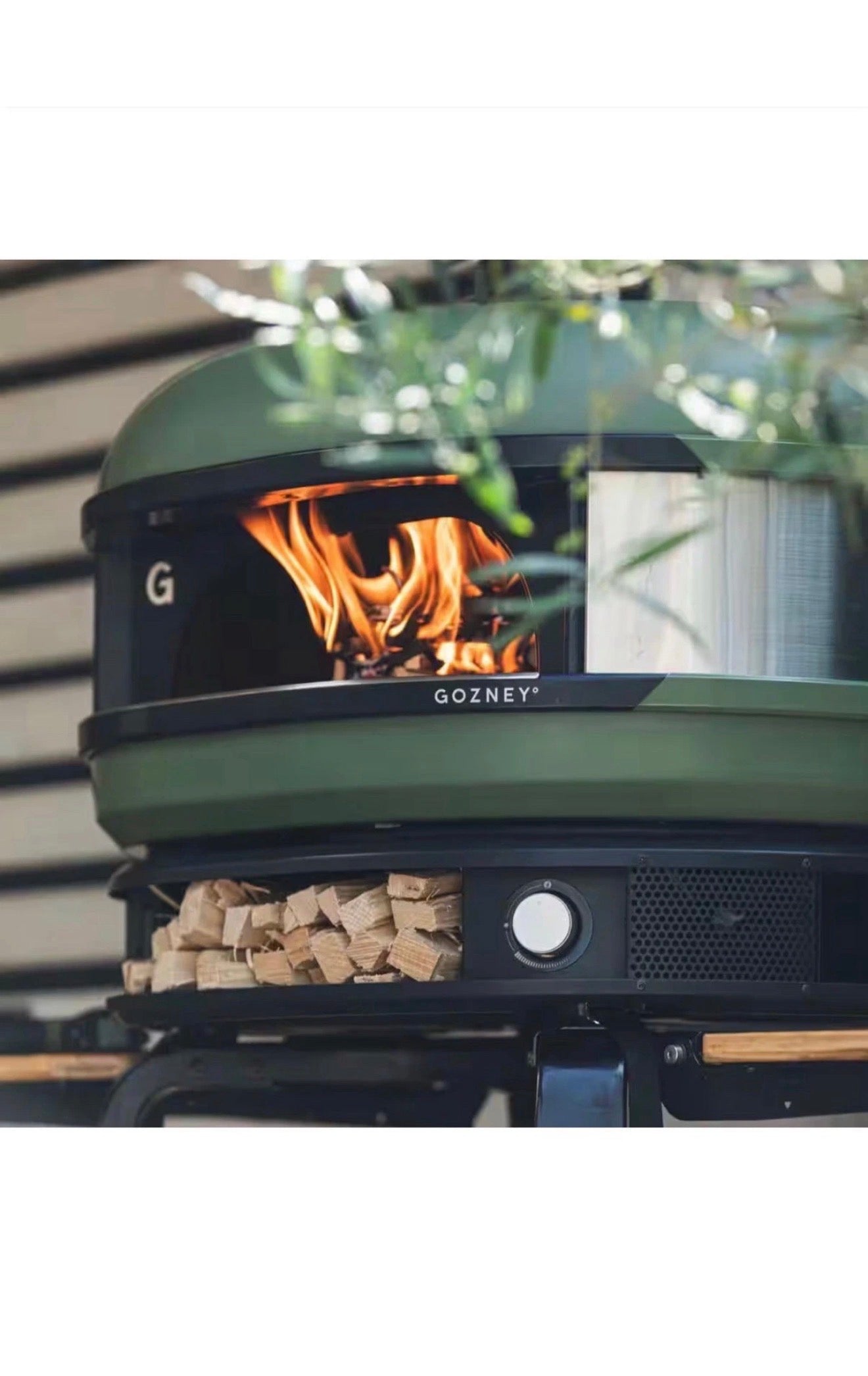 GOZNEY Dome Propane Outdoor Pizza Oven in Green